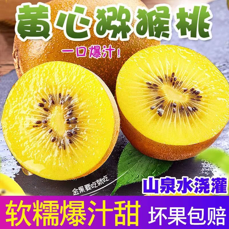 唐老师二队正宗四川蒲江精品新鲜黄心猕猴桃现摘现发(放软食用)