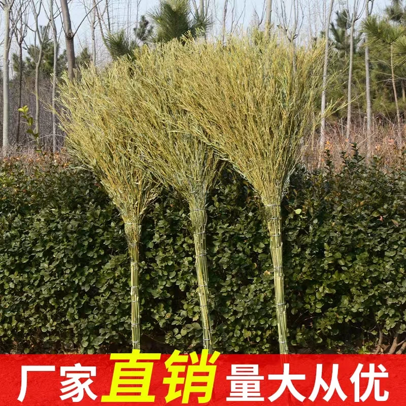 顺民纯手工大扫把结实耐用大号扫帚加厚家用扫院子传统老式竹扫把