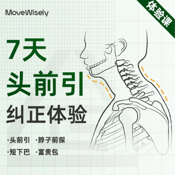 根正派｜7天头前引纠正｜体验课（家庭体态训练）
