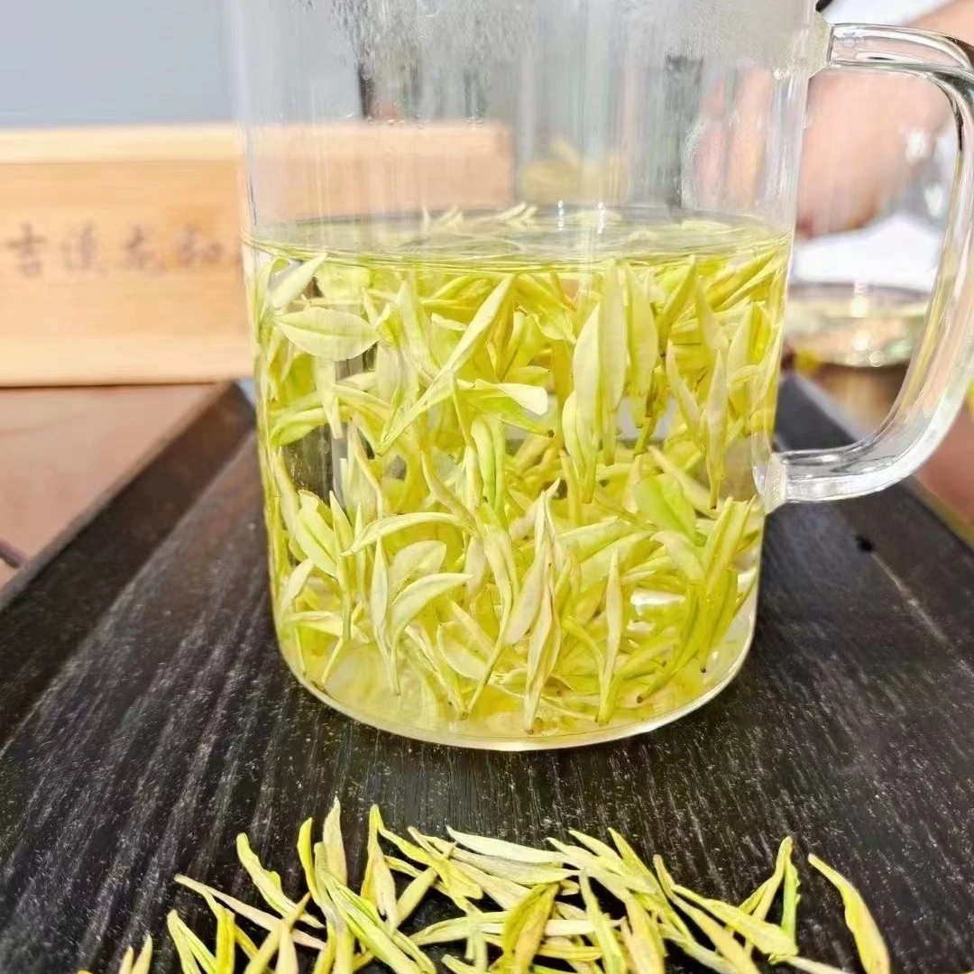 【熊猫奶香小熊猫】25年新茶头采头芽生态品质绿茶高山奶香味好茶