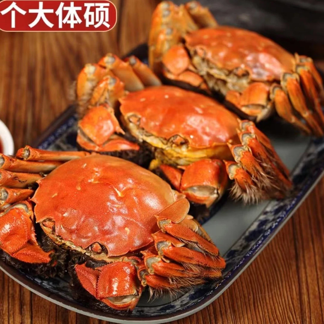 鲜活 排湖河蟹母蟹1.9-2.2两 十只 礼盒装
