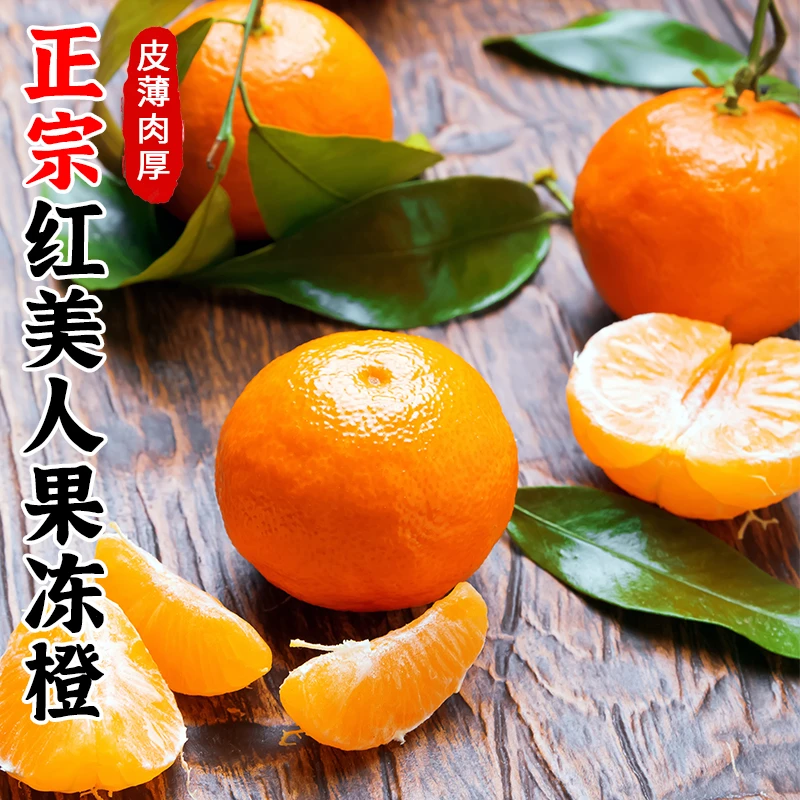 【文品天成】象山红美人柑橘果冻橙正宗品质皮薄肉厚老树5斤家庭装