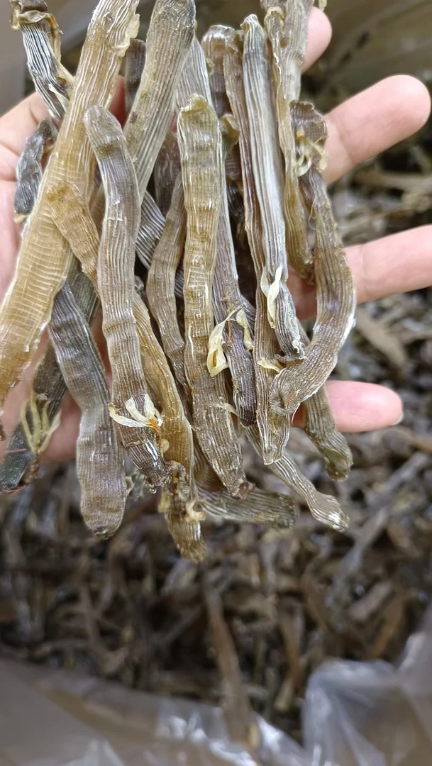 北海野生深海沙虫公黑虫无任何添加海产干货250g500g无沙沙虫干