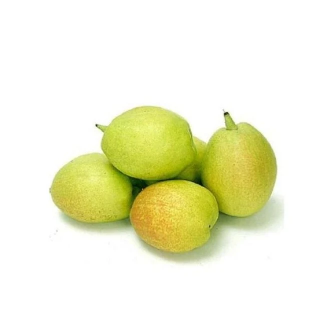 【赣农精选】库尔勒香梨500克