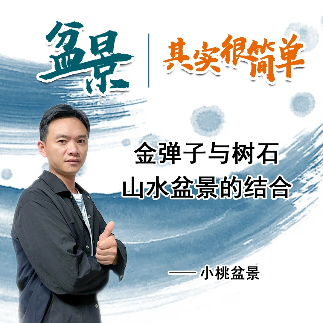 小桃说盆景其实很简单