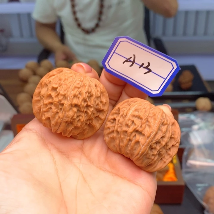 41+百年老树磨盘红皮烧地锅