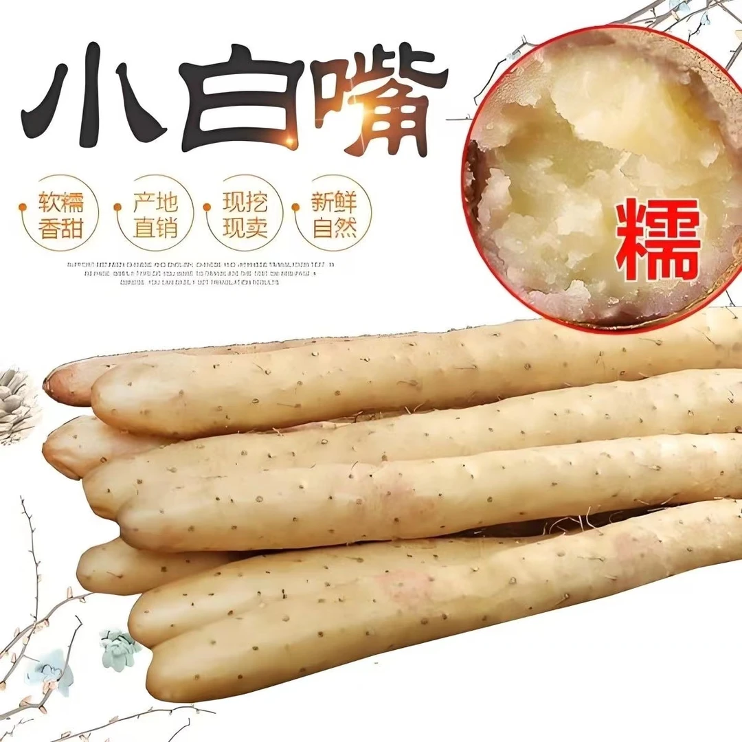 蠡县小白嘴山药5斤7-12根70-90CM特级果新鲜现挖粉糯香甜营养丰富