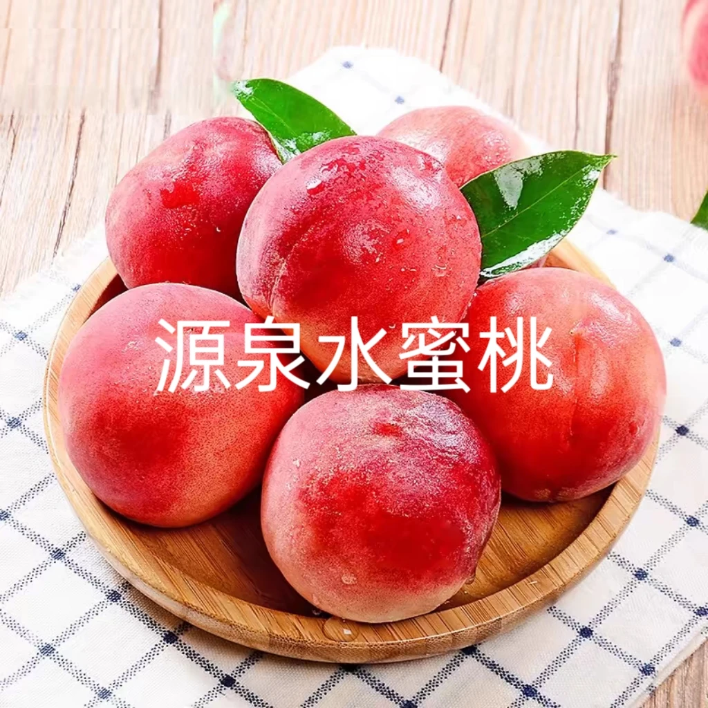 头茬净果5斤大果10-12个正宗淄博源泉蜜桃自有产地现摘直发优选鲜
