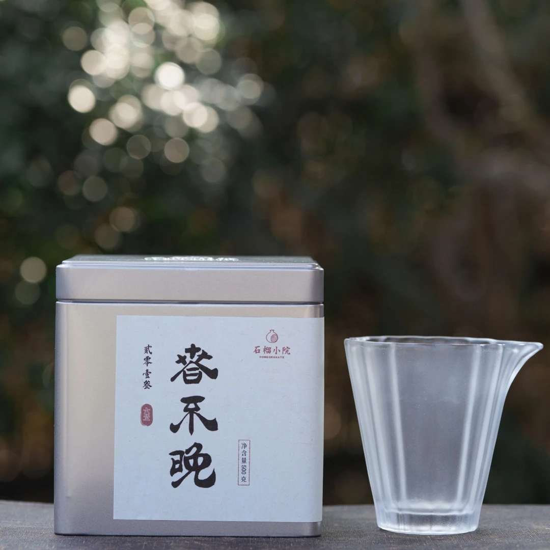 2013年六堡茶 春不晚500g+闲梦江南公道杯90cc