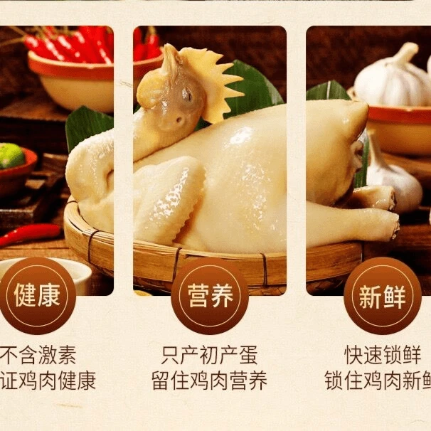 【可活鸡自提】【农家鸡自家笼养240天活鸡