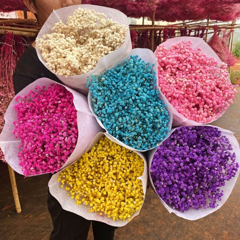 B级满天星生日商务婚礼混搭永生花全干发货花店采购款