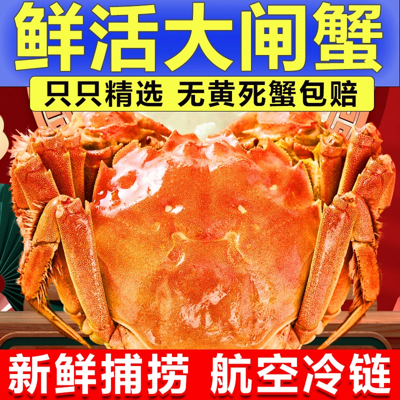 【活蟹】苏州大闸蟹 精挑蟹全母蟹3.5-3.2两 8只10只12只 有黄有膏