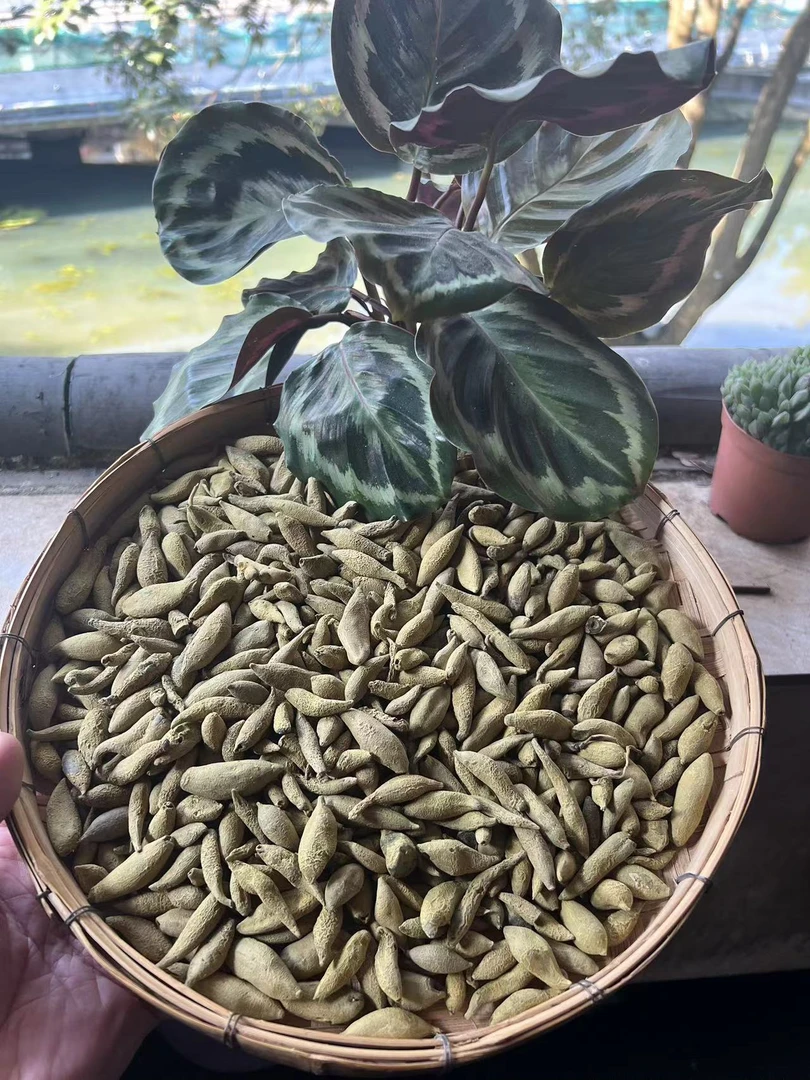 【土特产】金-灵-果 净含量250g~500g