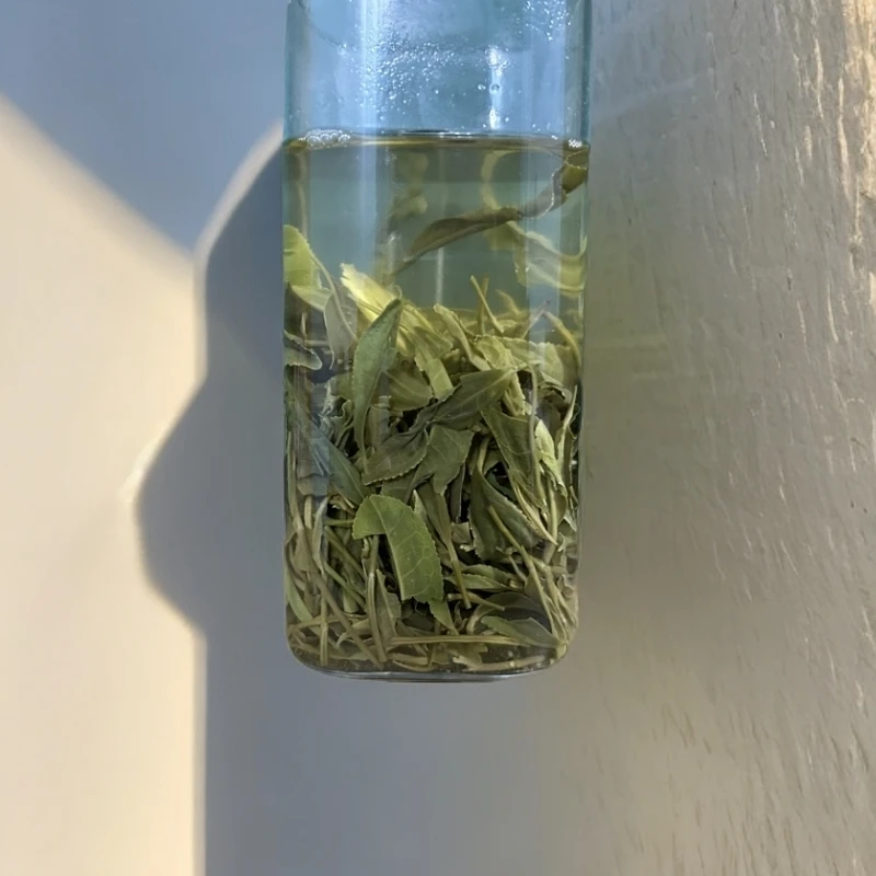 1#信阳毛尖大叶浓香耐泡绿茶口粮茶茶叶袋装