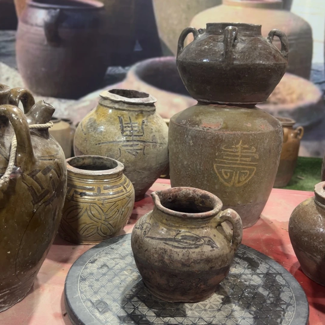 红陶20CM（含）-50CM（不含）疯*龙