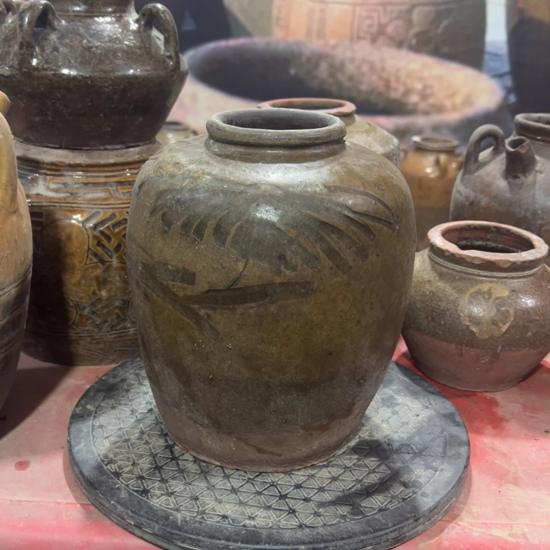 红陶20CM（含）-50CM（不含）疯*龙