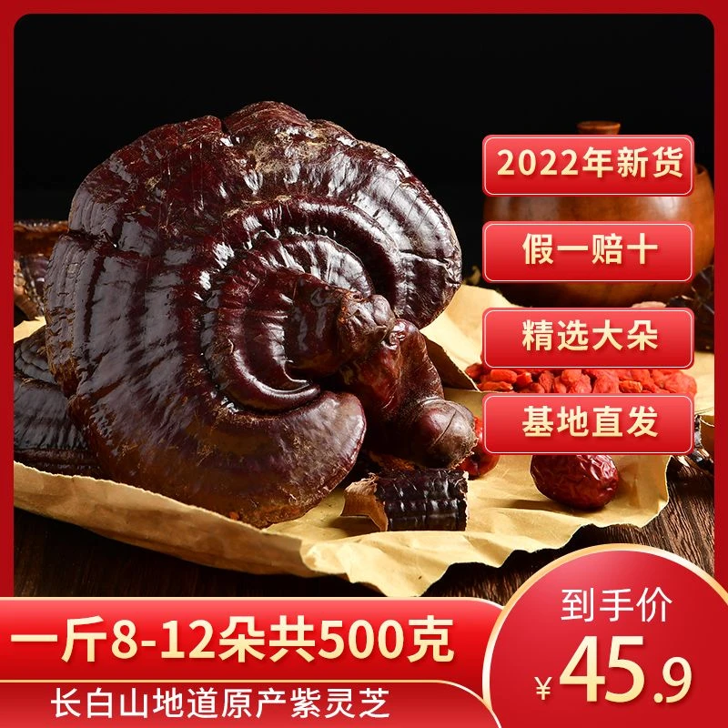 长白山整朵灵芝一斤东北林下灵芝椴木紫灵芝泡酒