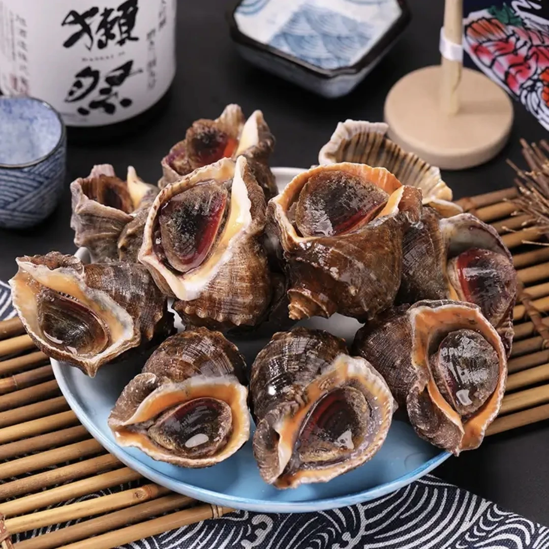 连云港优选二两海螺4斤鲜活发货，质量问题签收8小时内反馈售后