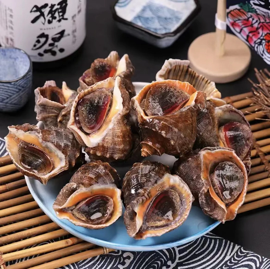 四两到半斤规格海螺4斤，零下气温地区不包活介意者勿拍