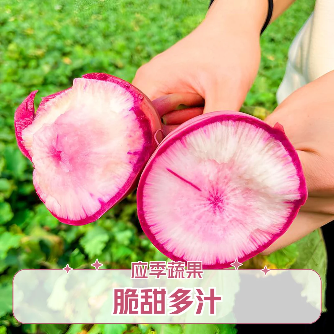 红心水果萝卜脆甜多汁现摘现发5斤包邮湖北仙桃沙土地种植