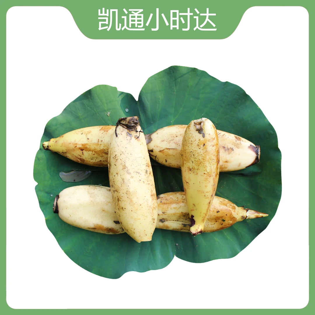 散莲藕 600g(±50g)