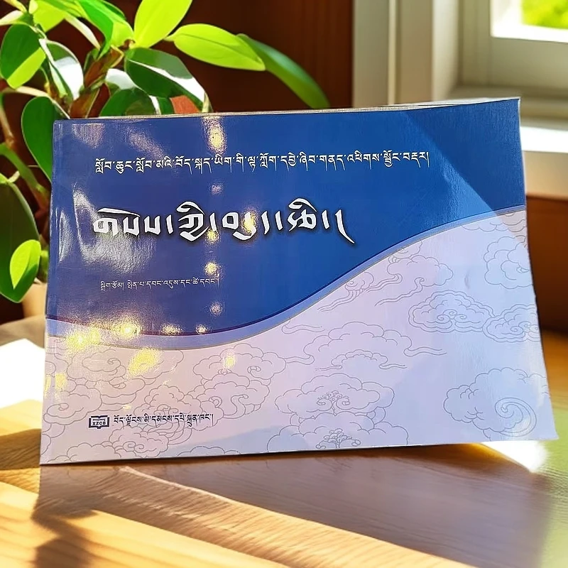 西藏小学藏语文阅读分析训练