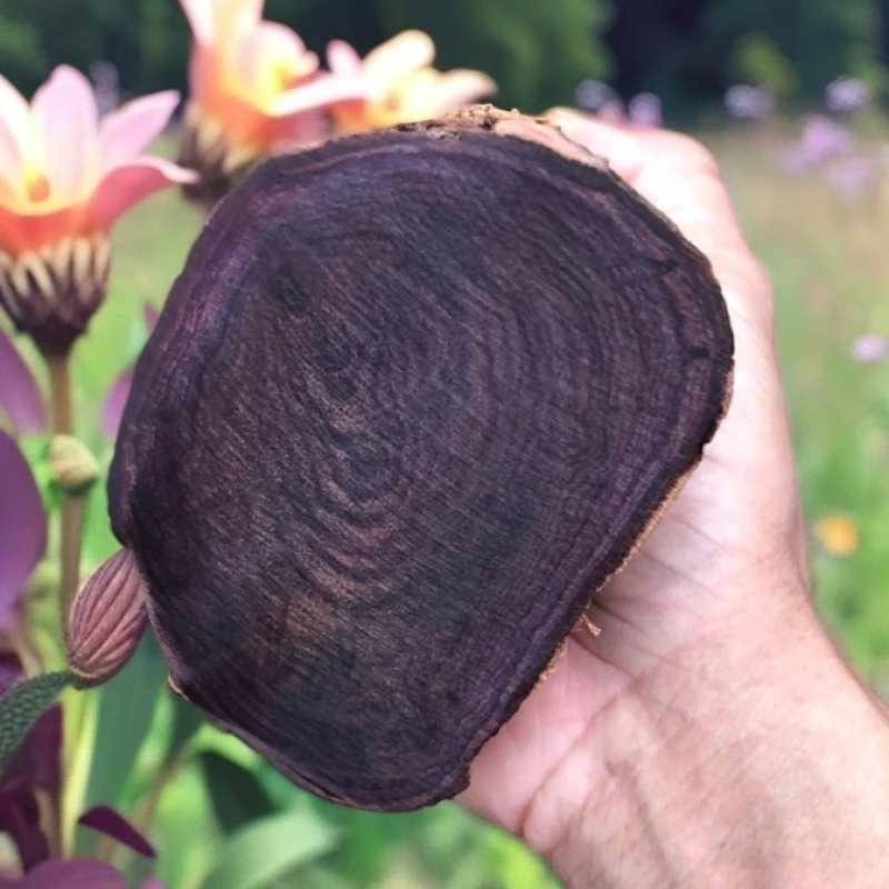 海南黄花梨降香黄檀，紫油梨老料，可以做器型，开珠子，重993克。