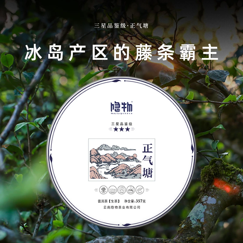 【隐物源头直供】正气塘 古树生茶饼 2021年原料 357g/饼