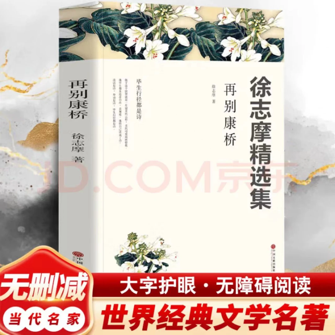 完整版徐志摩精选集 再别康桥当代名家世界文学名著初中高中必读