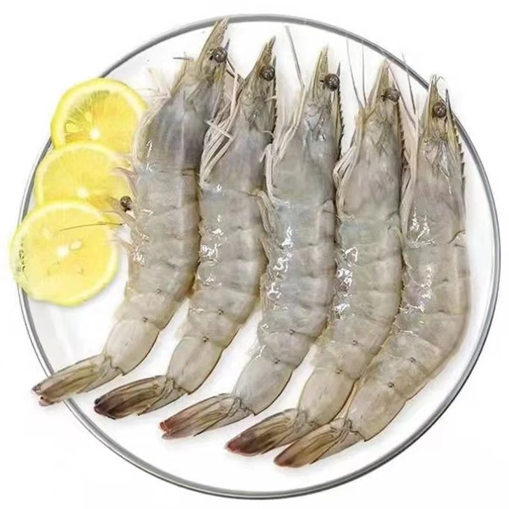 2030规格特大号海水虾 18厘米左右 四斤 活虾速冻顺丰发货