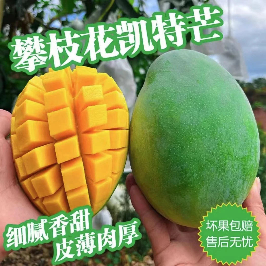 【粉丝福利】正宗四川攀枝花凯特芒果5斤-10斤整箱高山老树大青芒果