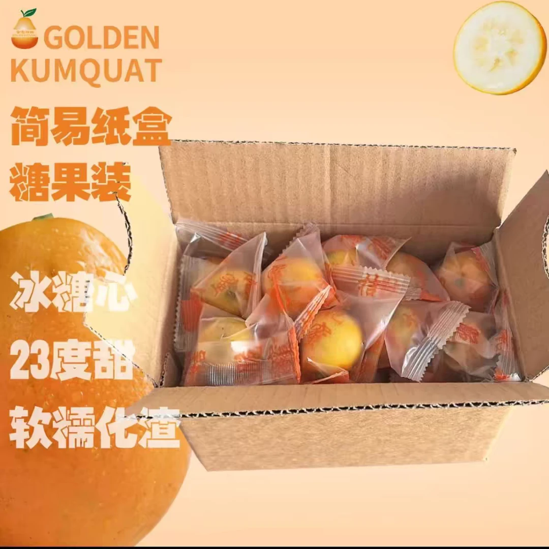 混合品尝装1斤（大果中果中大果小果）融安脆蜜金桔纯甜顺丰包邮