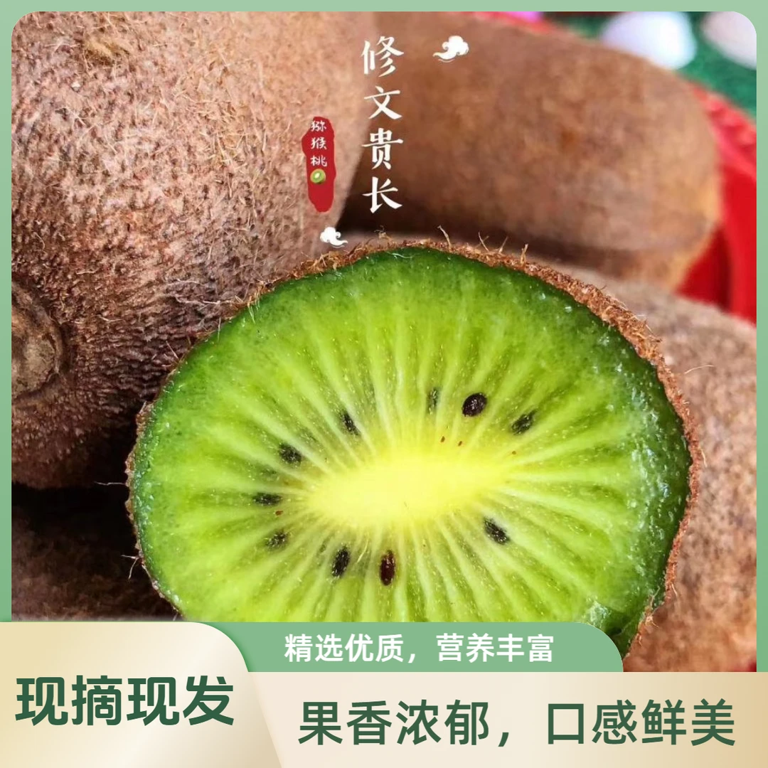 【10斤】贵州猕猴桃修文贵长当季水果包邮3/5 斤果园现摘新鲜奇异果