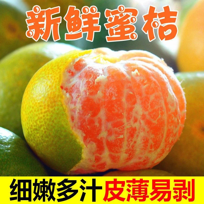 云南青皮蜜橘新鲜当季水果皮薄无籽酸酸酸适合孕妇