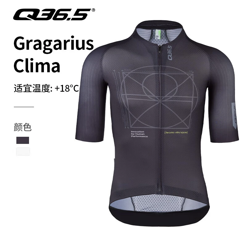Q36.5男款骑行服夏季修身短袖上衣达芬奇Gregarius Clima