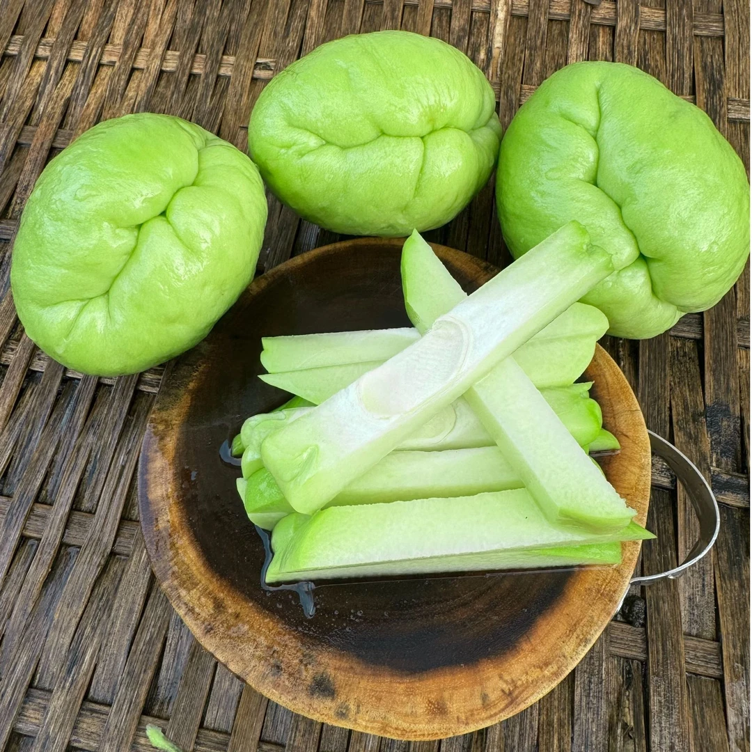 云南高山种植现摘现发新鲜佛手瓜