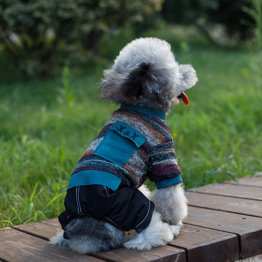 金冠宝贝金冠宝贝宠物用品服装鹿皮绒小立领加绒加厚狗狗过冬棉衣