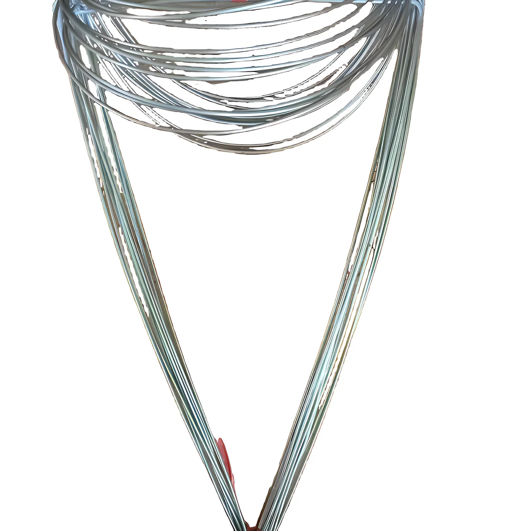 兰花套袋养植专用包教会(赠送10个花架）