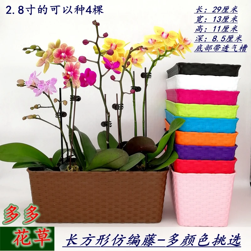 蝴蝶兰专用花盆绿植绿萝透气盆防烂根仿编藤长方形客厅办公室餐厅