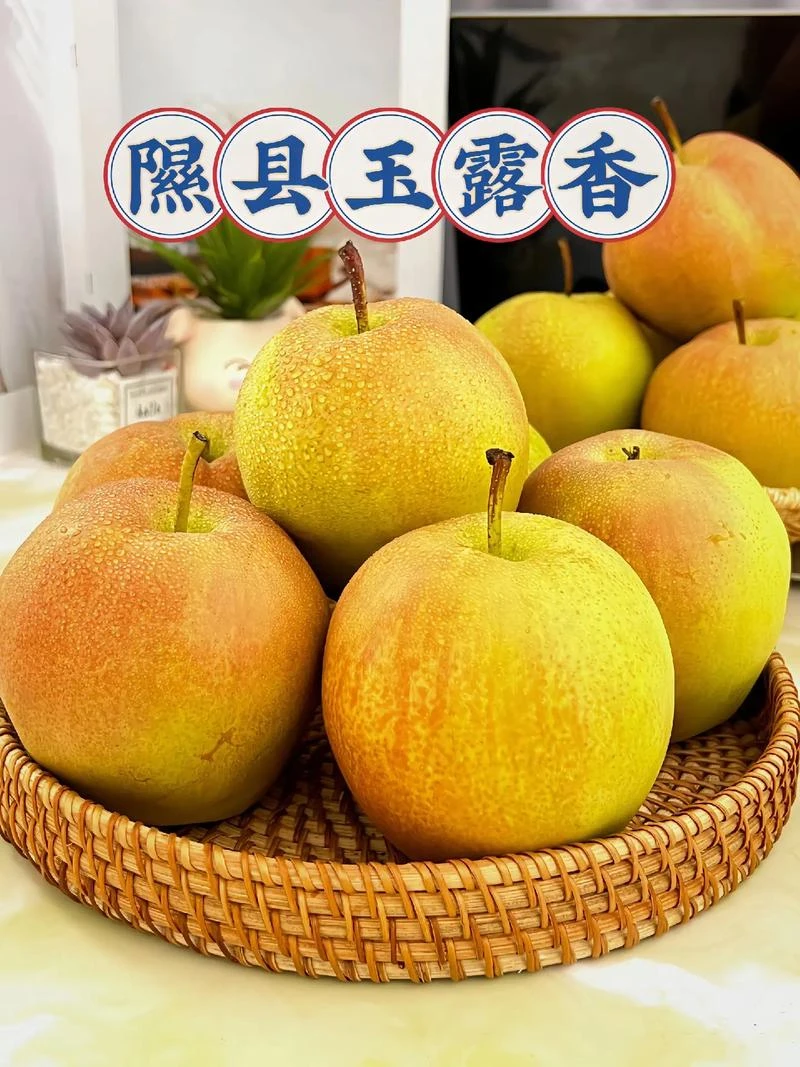 北纬36度隰县玉露香[瑕疵果12颗]