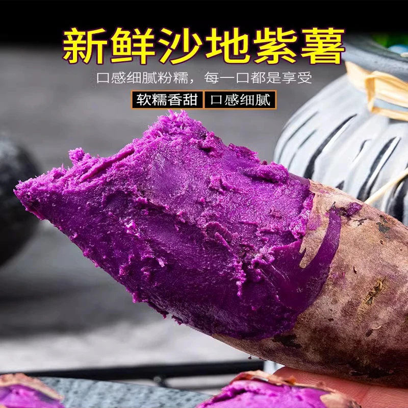 新鲜健康紫薯现挖农家正宗紫薯心蜜薯地瓜番薯软糯香甜薯