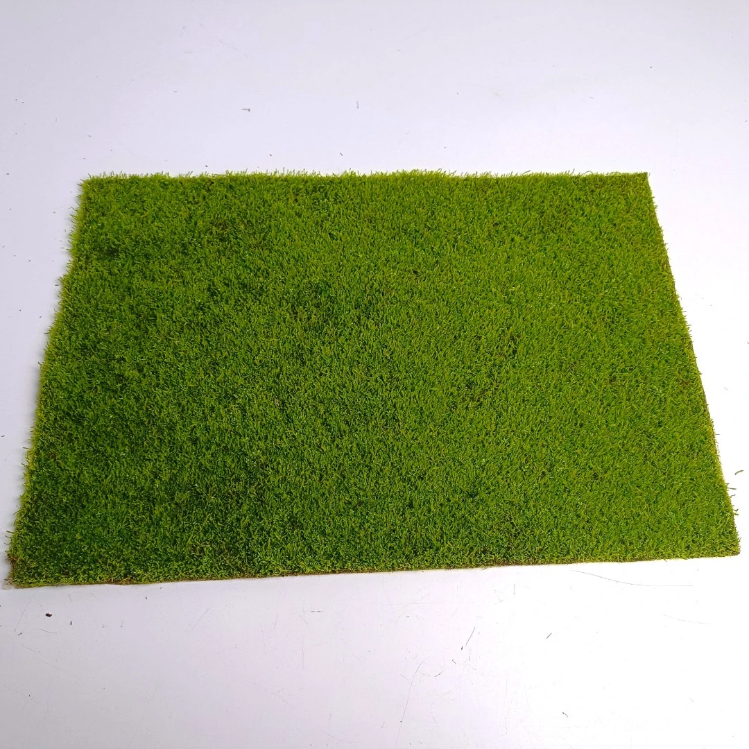 【短绒苔藓】人工养殖青苔  盆景铺面  水陆缸 吸水石 雨林 龟缸