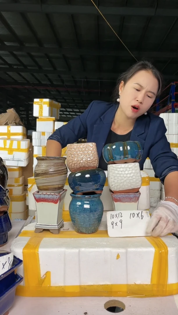 【闪购商品】红陶20CM以下多肉1