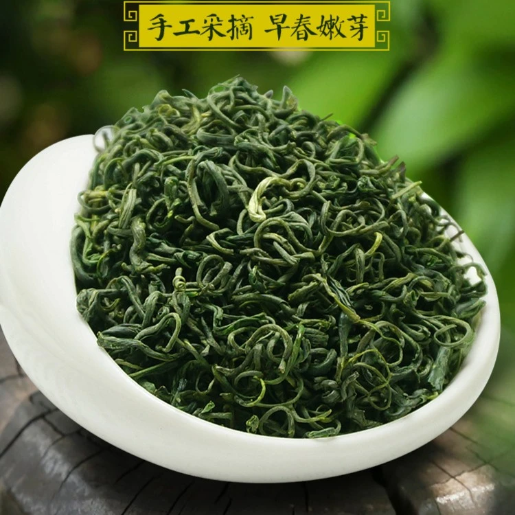 【宜宾早茶】明前绿茶袋装细条高山云雾香茶口粮茶酒店高品质茶