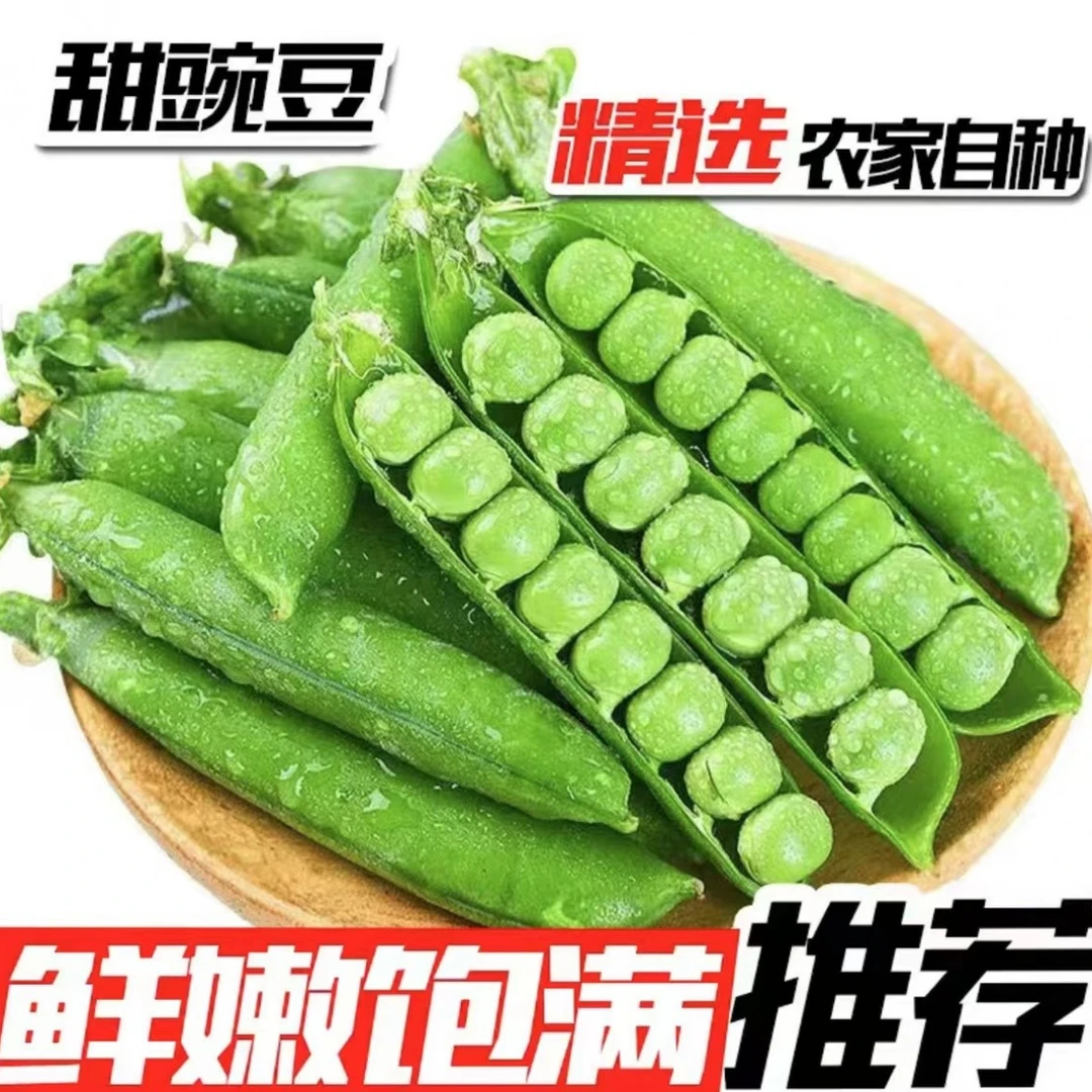 【鲜嫩现摘】云南新鲜豌豆荚绿色颗粒农家饱满甜脆种植3斤5斤8斤