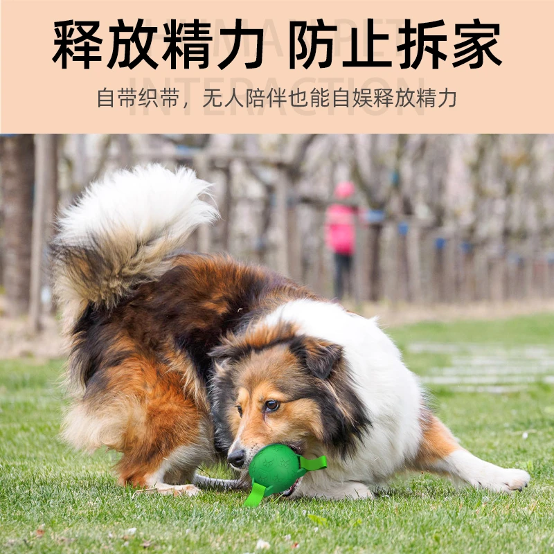 宠物玩具狗狗足球橡胶磨牙耐咬互动户外拉扯解放双手投掷训练球