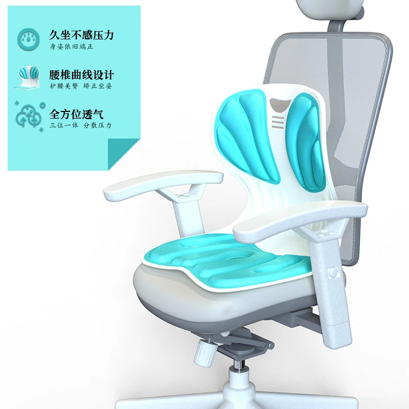 【护腰神器】花瓣坐垫矫正坐姿办公室久坐神器学生矫姿护脊科学实验