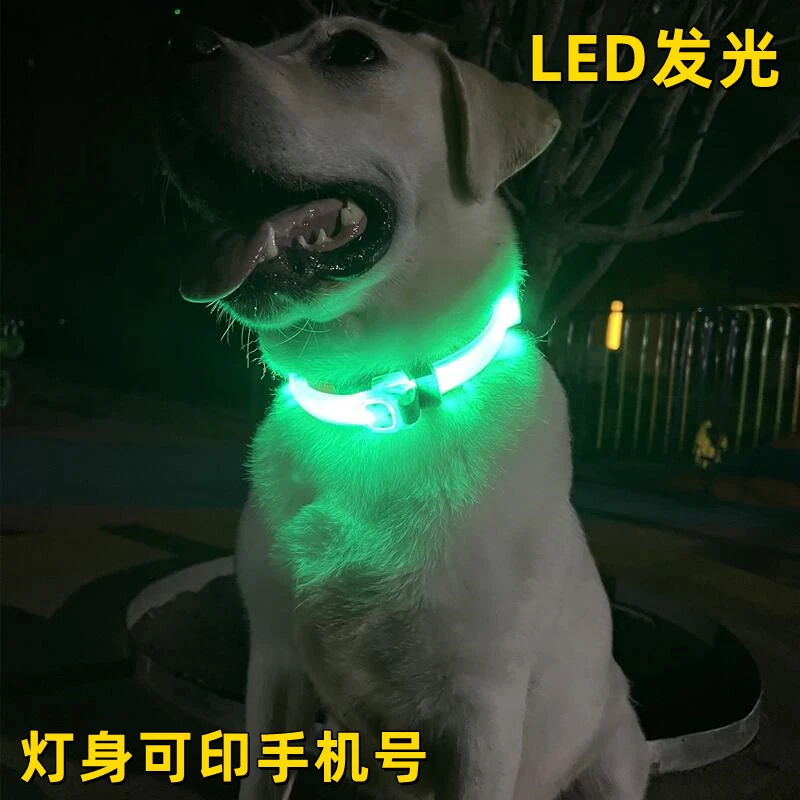 夜晚宠物灯防丢神器发光项圈伴侣遛狗灯猫醒目灯可找回脖套胸背灯