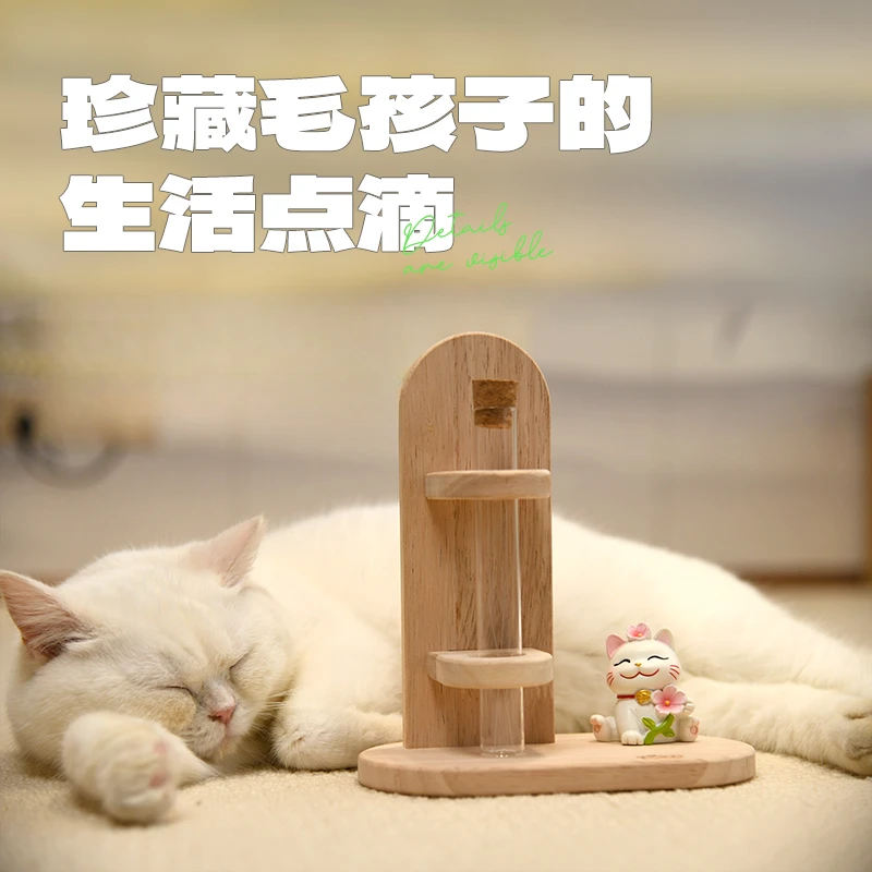 猫咪胡须收纳收藏居家原木工厂发货加厚环保生活许愿摆件