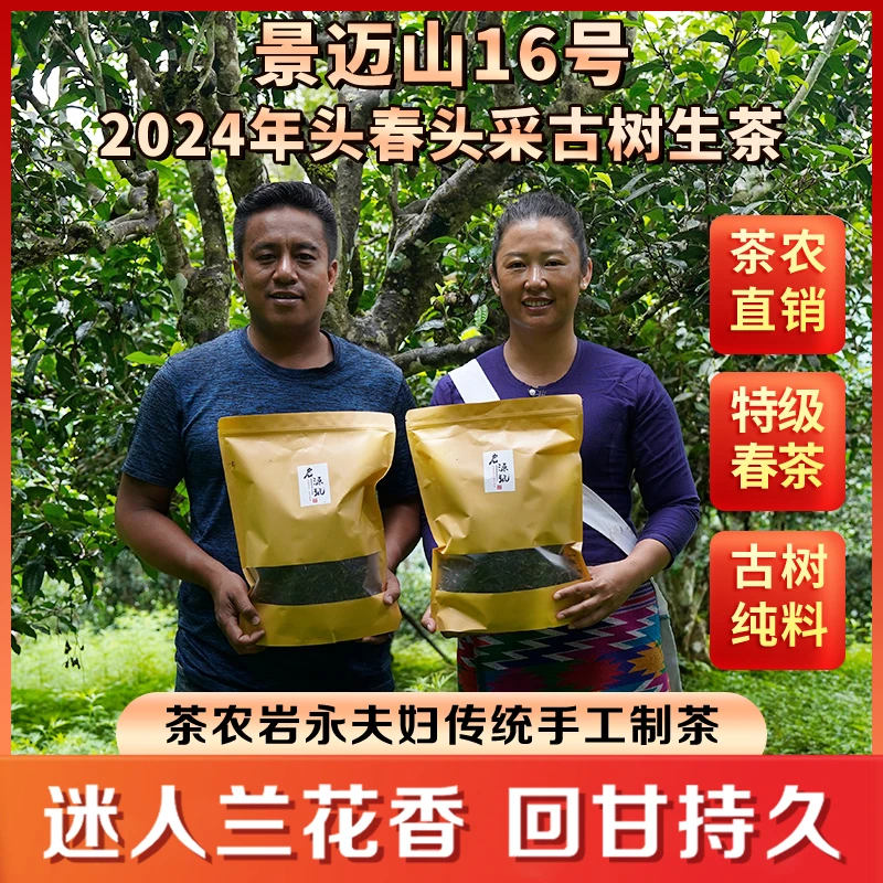 【申遗景迈古树生茶】茶农岩永夫妇直销 传统手工制茶 好喝实惠